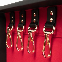 Bedroom Fantasies – 11-Osaline Bondage-Diplamaatkohver - BDSM