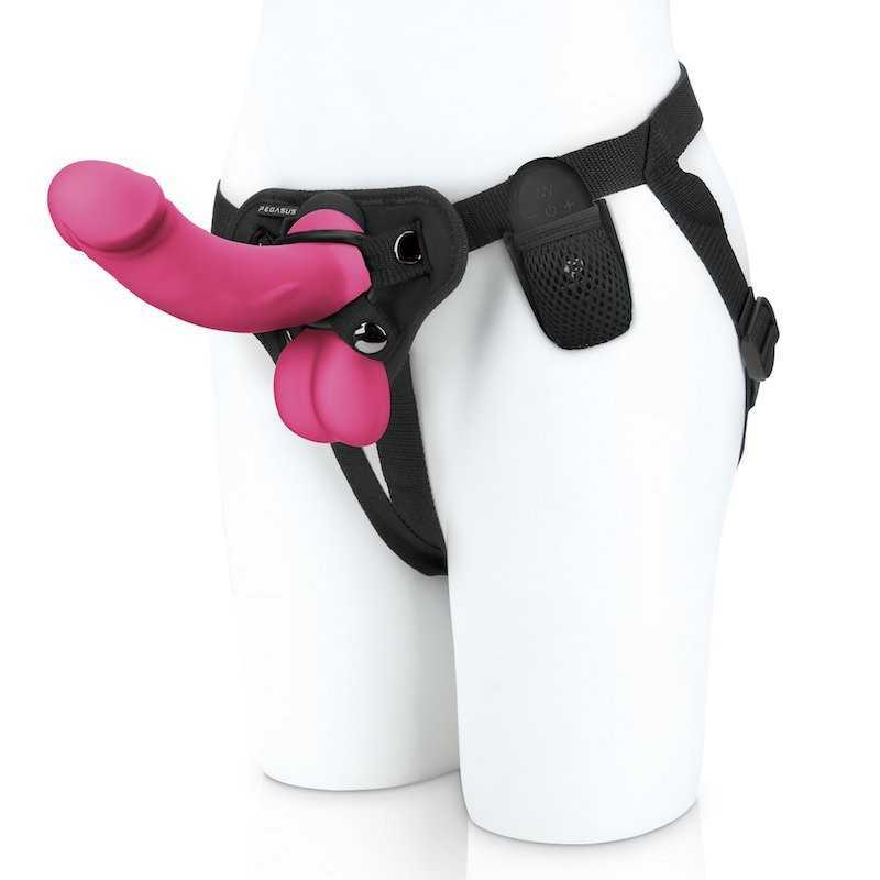 Buy PEGASUS REALISTIC DILDO WITH BALLS AND HARNESS SET with the best price