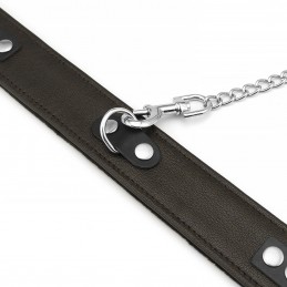 Buy Dark Brown Leather Collar with Faux Fur Lining & Metal Leash with the best price
