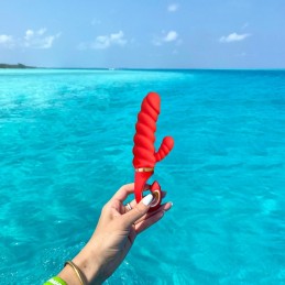 Buy GVIBE - GCANDY MINI CHILI CORAL with the best price
