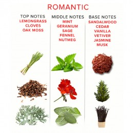 Eol - Romantic Pheromones Perfume For Men 10ml|PHEROMONES
