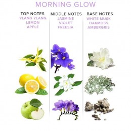 Buy Eol - Pheromone Parfum Deluxe Morning Glow 10ml with the best price