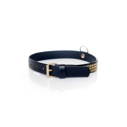 Fetish Boss Series - Collar with crystals 2cm gold|ACCESSORIES