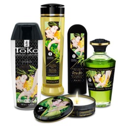Shunga - Garden of Edo Collection
