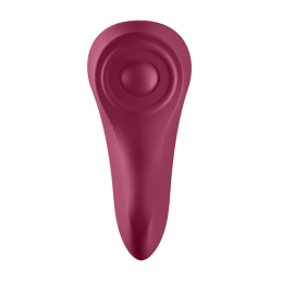 Satisfyer – Sexy Secret Вибратор Для Трусиков С Управлением