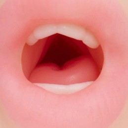 XTC Japan Nupu 3 Dual-Entry Hentai Masturbator