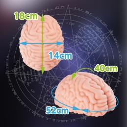 XTC Japan Brain Hacker Dx Хентай Мастурбатор