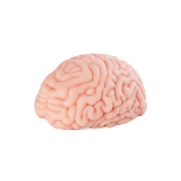 XTC Japan Brain Hacker DX hardcore hentai masturbator