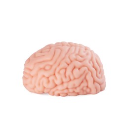 XTC Japan Brain Hacker DX hardcore hentai masturbator